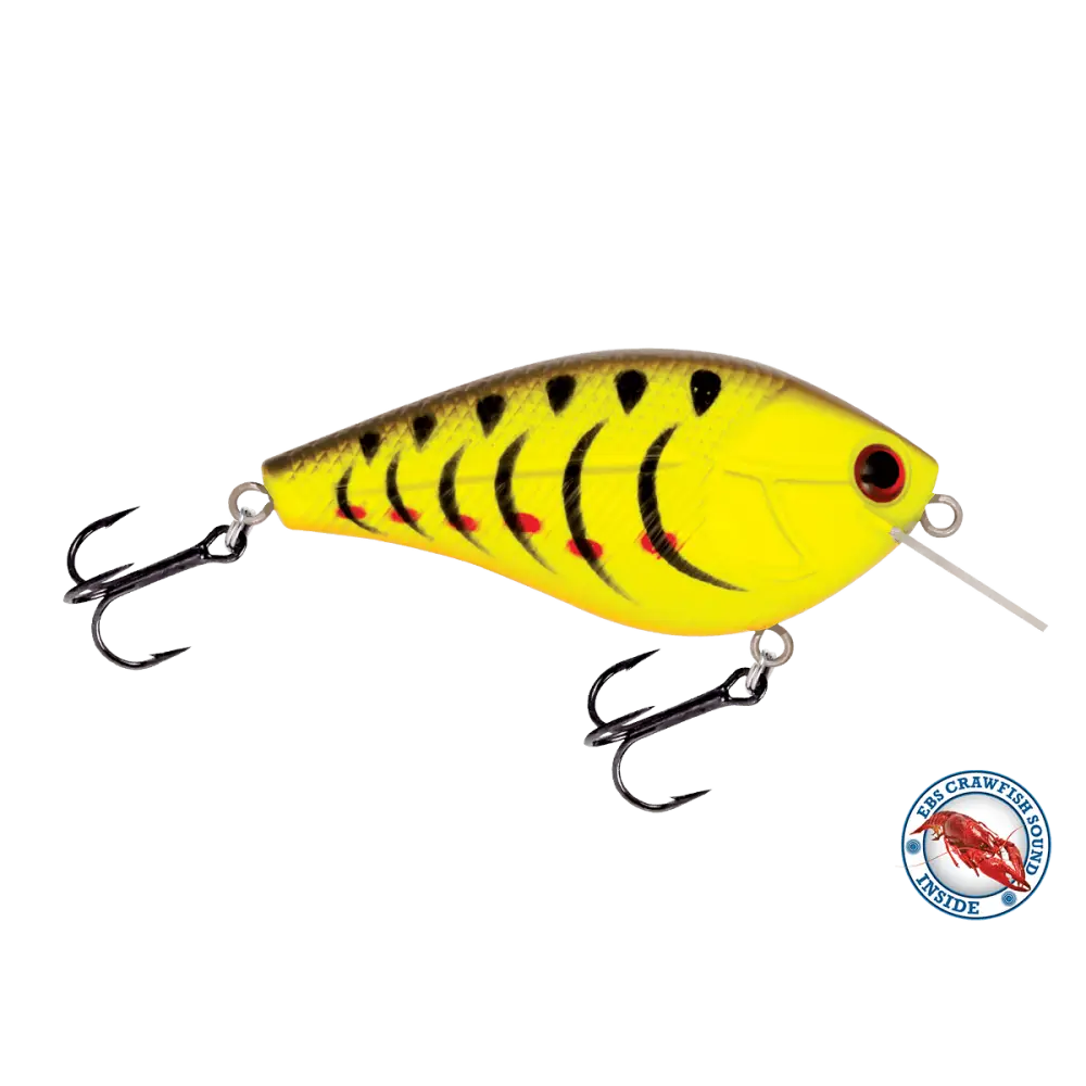 Primetyme SQ 2.0 Square Bill Crankbait – EBS Sound Technology | Color: Chartreuse Splatter Shad Back Pearl Sunrise