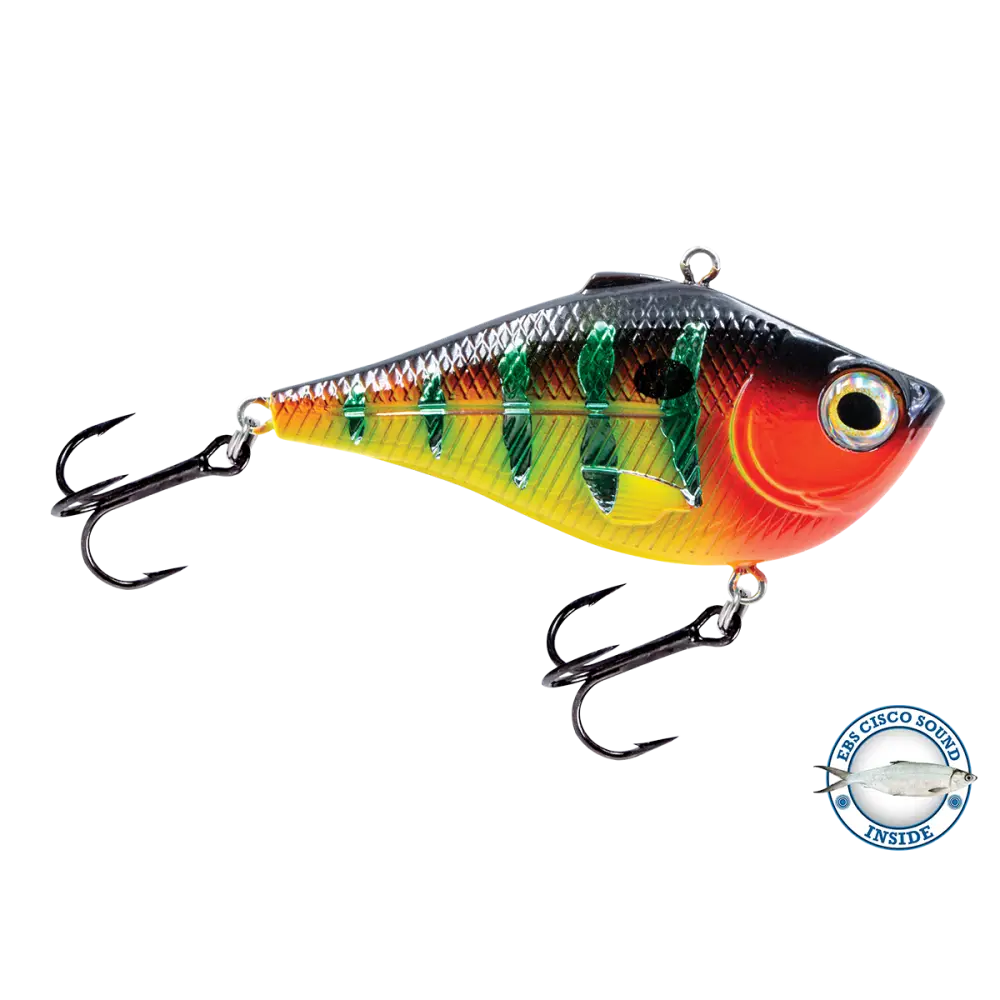 Pro Ripper Magnum Lipless Crankbait – EBS Sound Technology | Color & Sound: Chaos / Cisco Blue Shiner / Perch Lucky