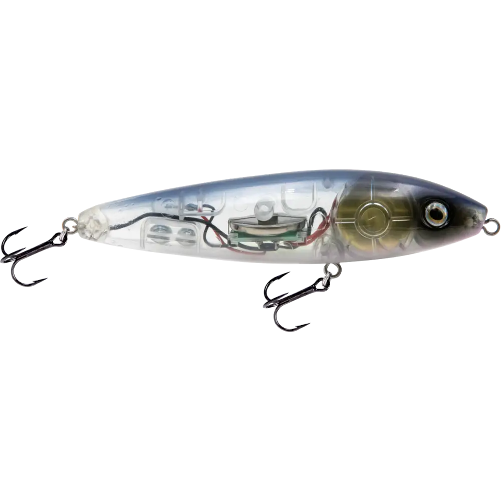 Pro Sizzle Walk-the-Dog Topwater with Illuminated Tail – EBS Sound Technology | Color: Natural Perch Sexy Melon XXX