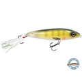 Pro Sizzle Walk-the-Dog Topwater with Illuminated Tail – EBS Sound Technology | Color: Natural Perch Sexy Melon XXX