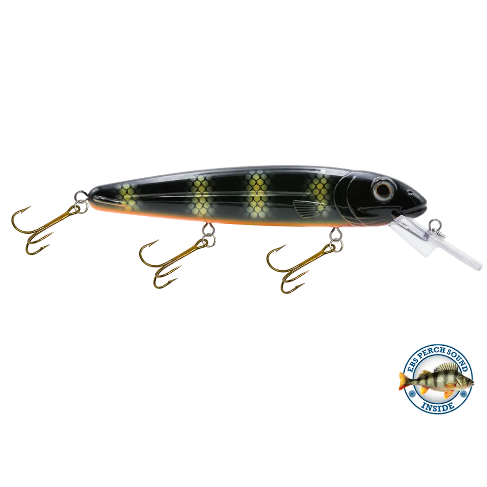 Rachel 8’’ Suspending Jerkbait for Musky & Pike – EBS Sound Technology | Color Sound: Lucky Charm / Cisco Fire Ice