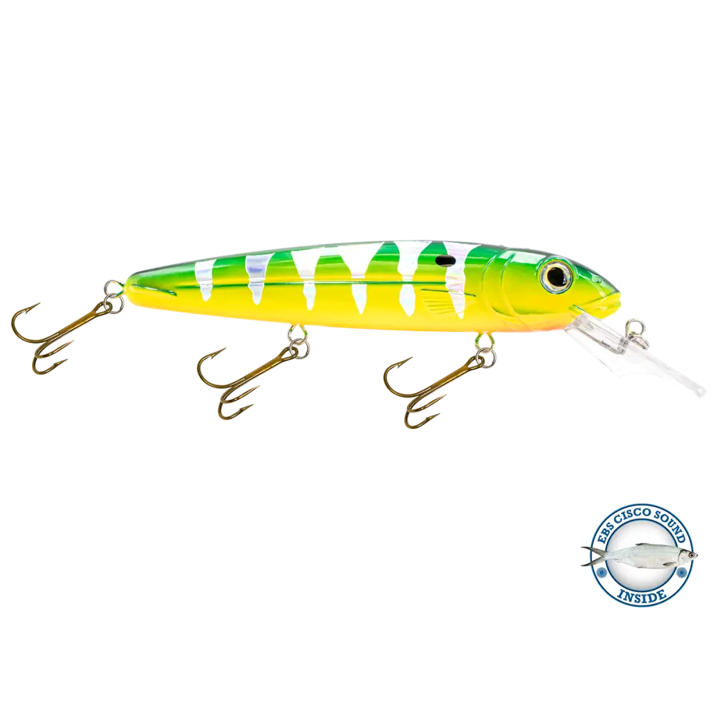 Rachel 8’’ Suspending Jerkbait for Musky & Pike – EBS Sound Technology | Color Sound: Lucky Charm / Cisco Fire Ice