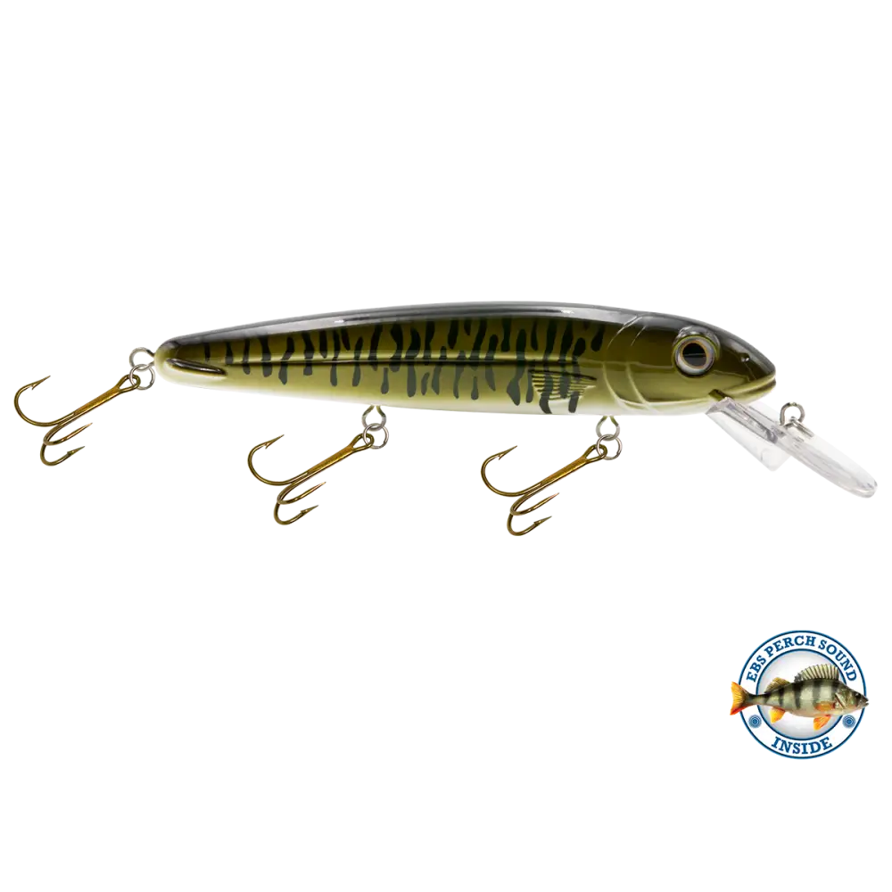 Rachel 8’’ Suspending Jerkbait for Musky & Pike – EBS Sound Technology | Color Sound: Lucky Charm / Cisco Fire Ice
