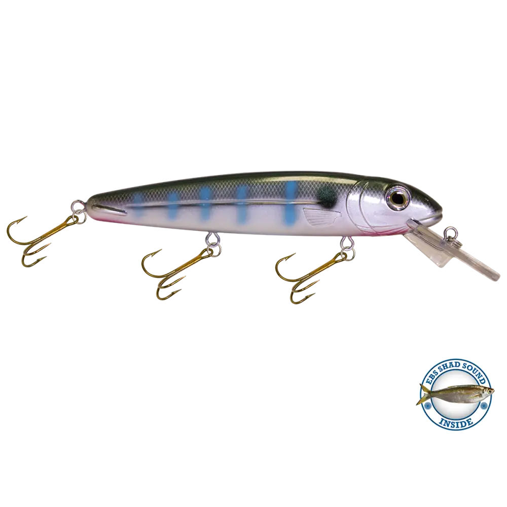 Rachel 8’’ Suspending Jerkbait for Musky & Pike – EBS Sound Technology | Color Sound: Lucky Charm / Cisco Fire Ice