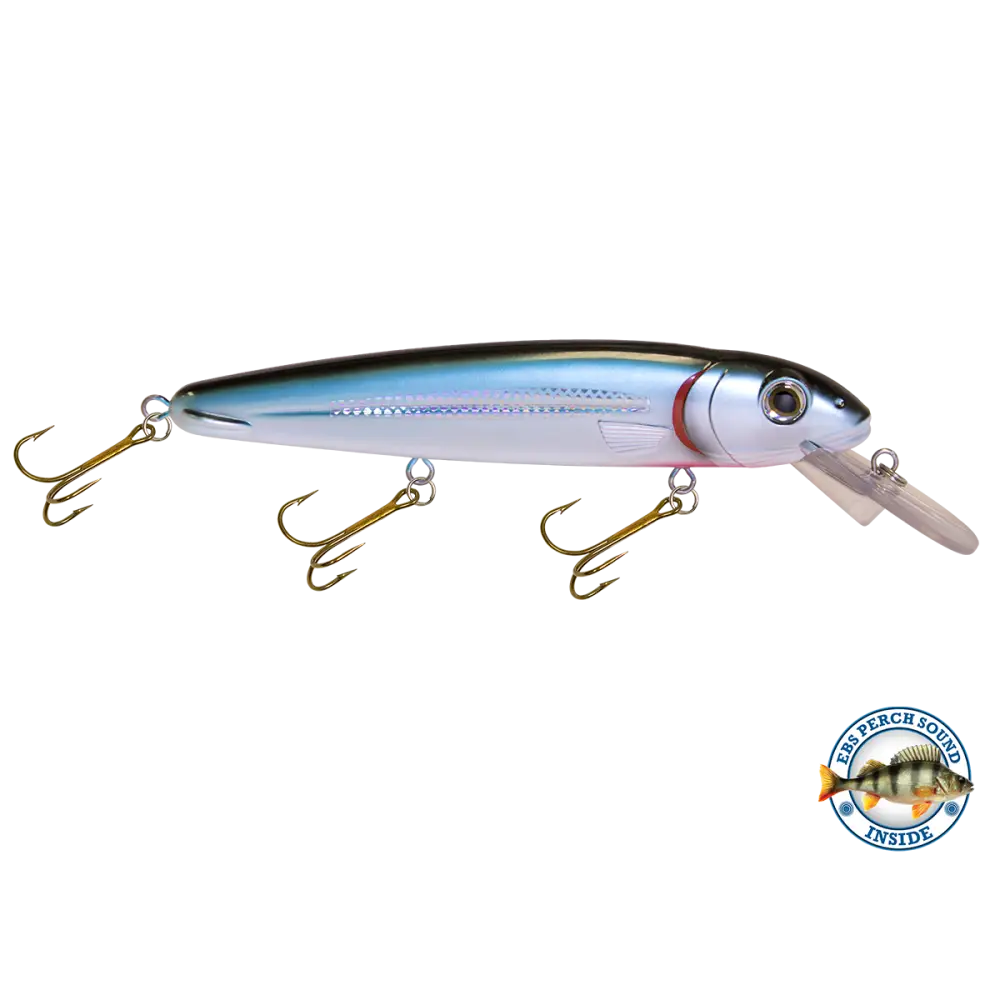 Rachel 8’’ Suspending Jerkbait for Musky & Pike – EBS Sound Technology | Color Sound: Lucky Charm / Cisco Fire Ice