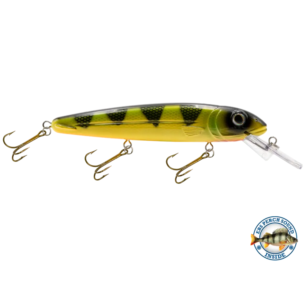 Rachel 8’’ Suspending Jerkbait for Musky & Pike – EBS Sound Technology | Color Sound: Lucky Charm / Cisco Fire Ice