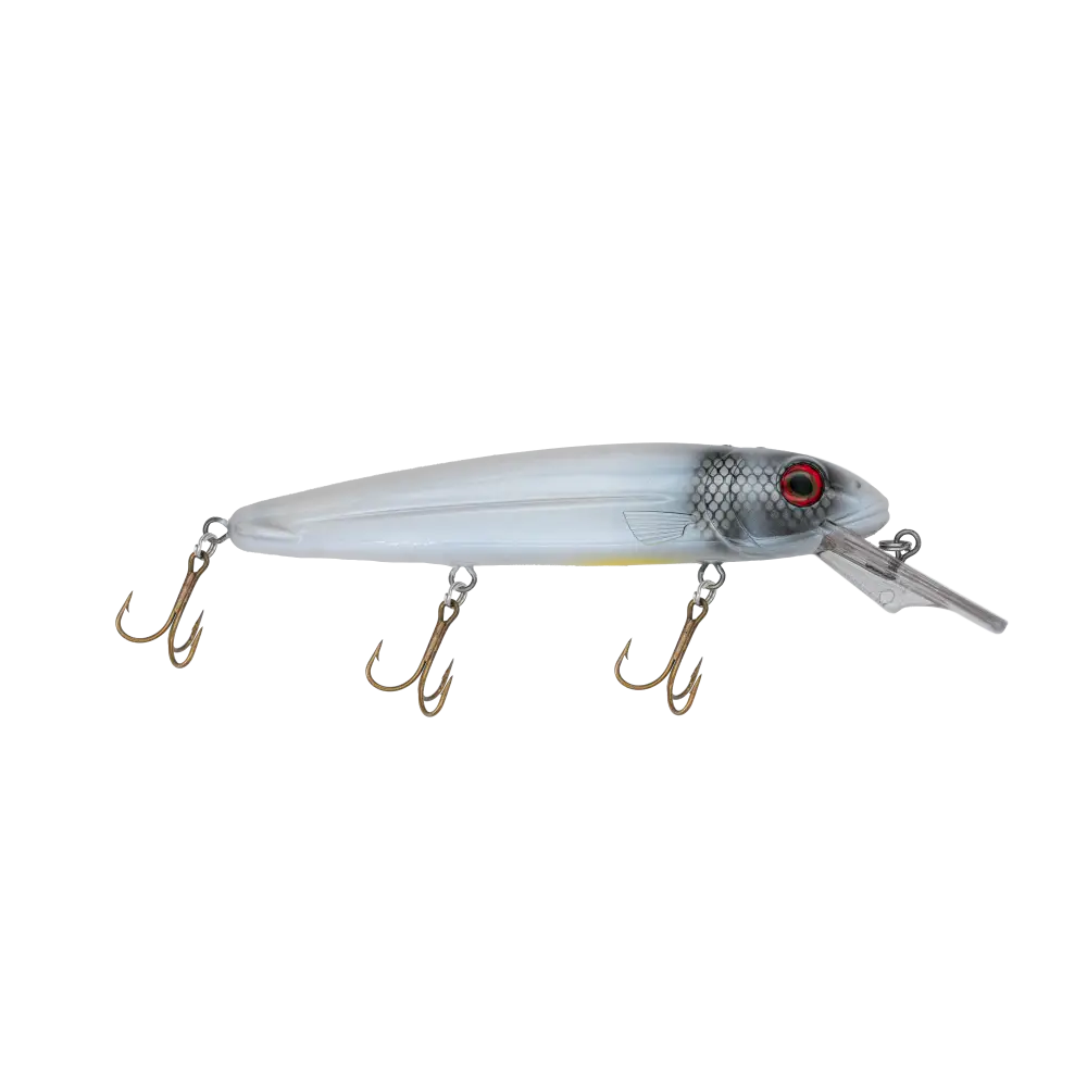 Rachel 8’’ Suspending Jerkbait for Musky & Pike – EBS Sound Technology | Color Sound: Lucky Charm / Cisco Fire Ice