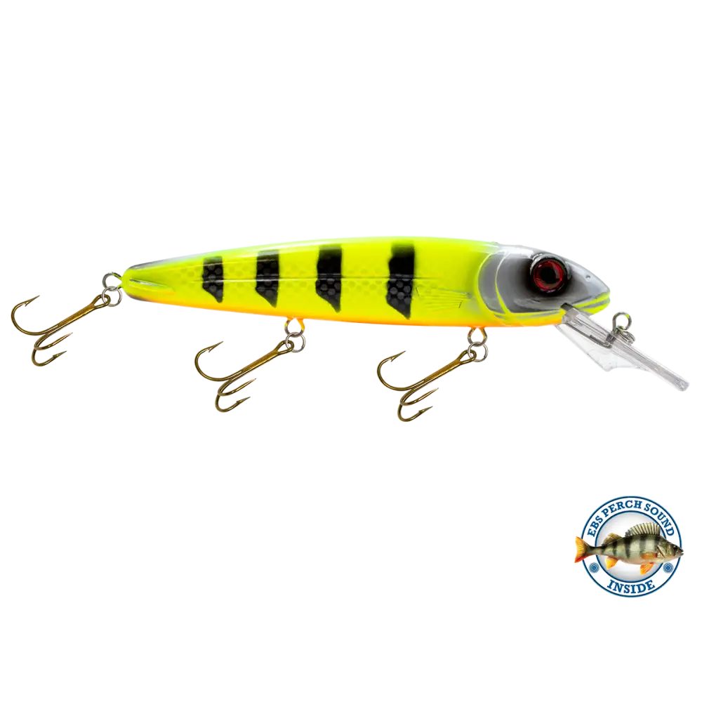 Rachel 8’’ Suspending Jerkbait for Musky & Pike – EBS Sound Technology | Color Sound: Lucky Charm / Cisco Fire Ice