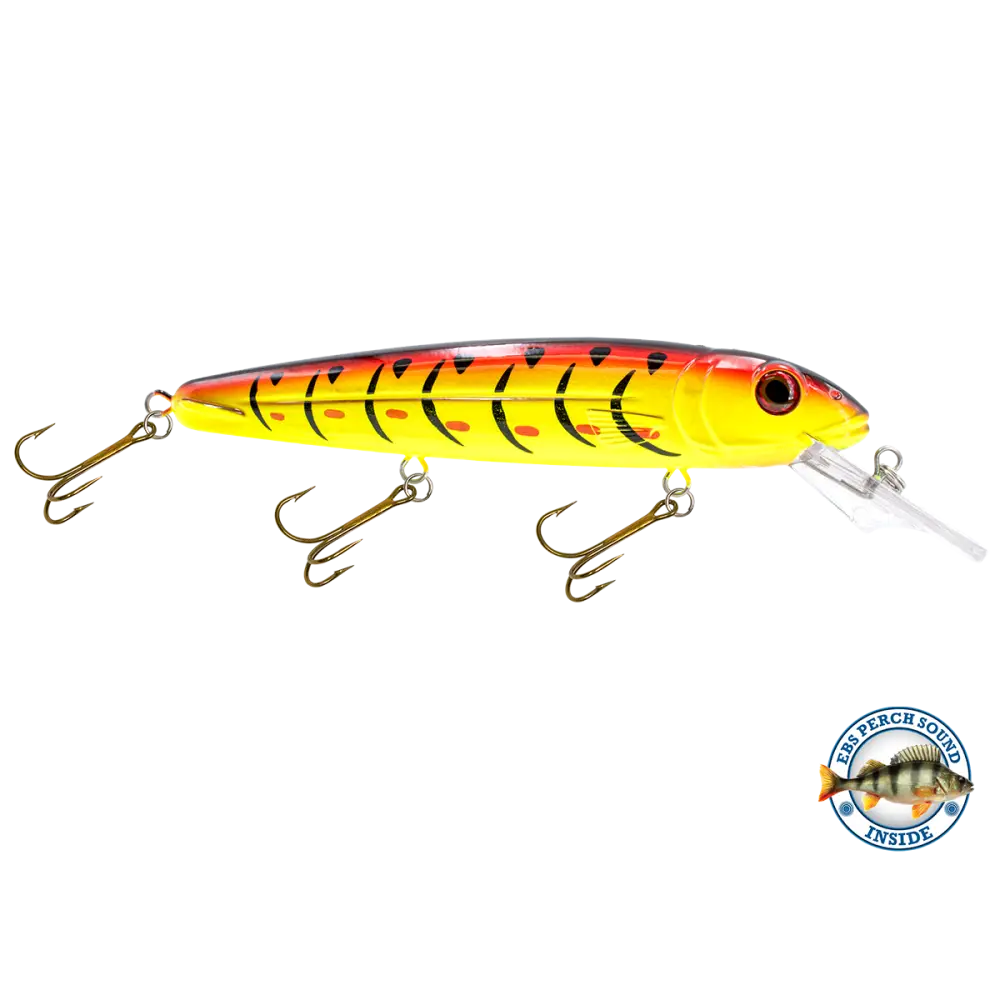 Rachel 8’’ Suspending Jerkbait for Musky & Pike – EBS Sound Technology | Color Sound: Lucky Charm / Cisco Fire Ice