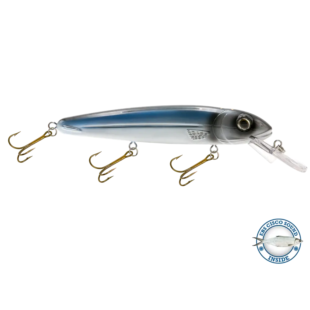 Rachel 8’’ Suspending Jerkbait for Musky & Pike – EBS Sound Technology | Color Sound: Lucky Charm / Cisco Fire Ice