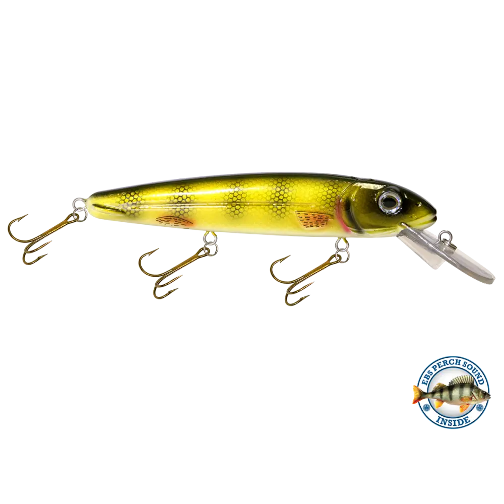 Rachel 8’’ Suspending Jerkbait for Musky & Pike – EBS Sound Technology | Color Sound: Lucky Charm / Cisco Fire Ice