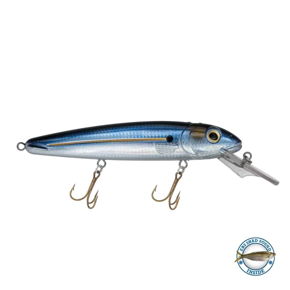 Rachel 8’’ Suspending Jerkbait for Musky & Pike – EBS Sound Technology | Color Sound: Lucky Charm / Cisco Fire Ice