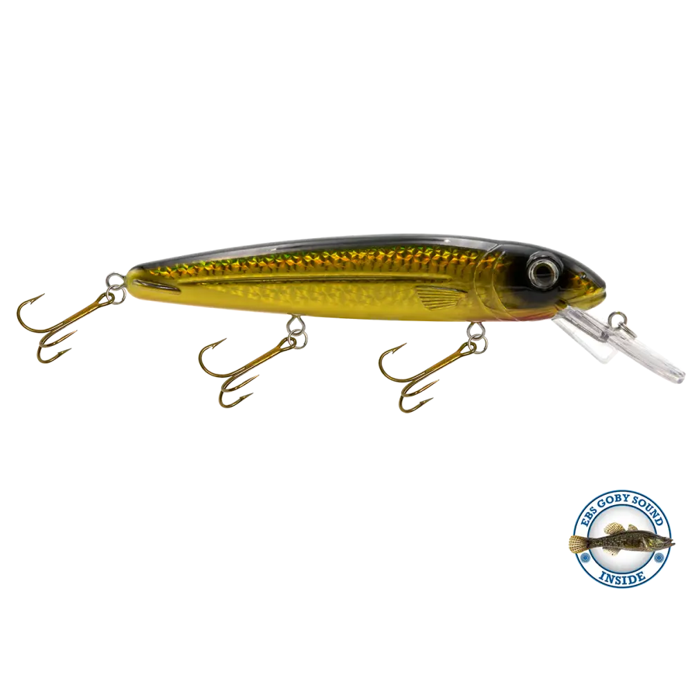 Rachel 8’’ Suspending Jerkbait for Musky & Pike – EBS Sound Technology | Color Sound: Lucky Charm / Cisco Fire Ice