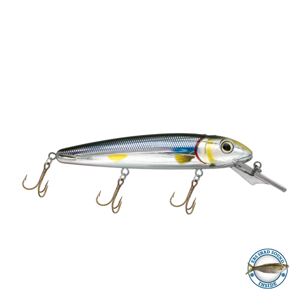 Rachel 8’’ Suspending Jerkbait for Musky & Pike – EBS Sound Technology | Color Sound: Lucky Charm / Cisco Fire Ice
