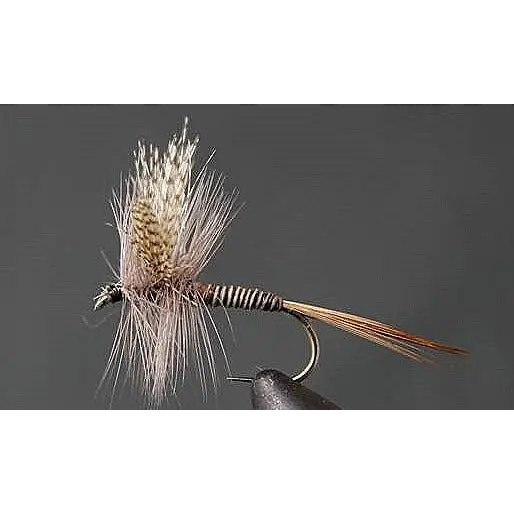 Red Quill | Package: 3 Pack | Size: 10 14 20 - Artificial Fishing Flies