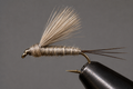 RS2 Emergers | Color: Grey Olive Tan | Size: 10 12 14 16 18 20 22 - 3 Pack - Artificial Fishing Flies