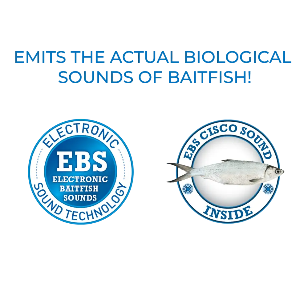 School Master 4’’ Lipless Crankbait for Schooling Bass – EBS Sound | Flutter-Fall Shad Imitation | Color: Real Beauty