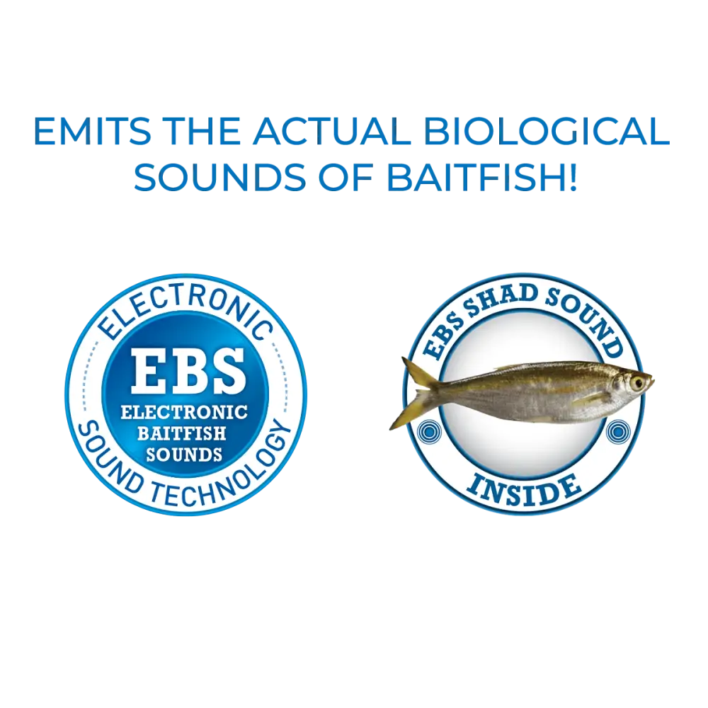 School Master 4’’ Lipless Crankbait for Schooling Bass – EBS Sound | Flutter-Fall Shad Imitation | Color: Real Beauty