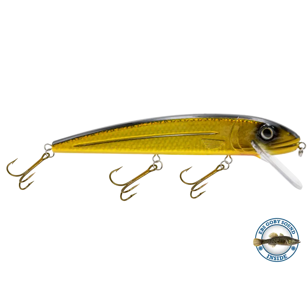 Squeaky Pete Trolling Crankbait – EBS Sound Technology | Color & Sound: Fire Ice / Perch Lucky Charm / Cisco Green