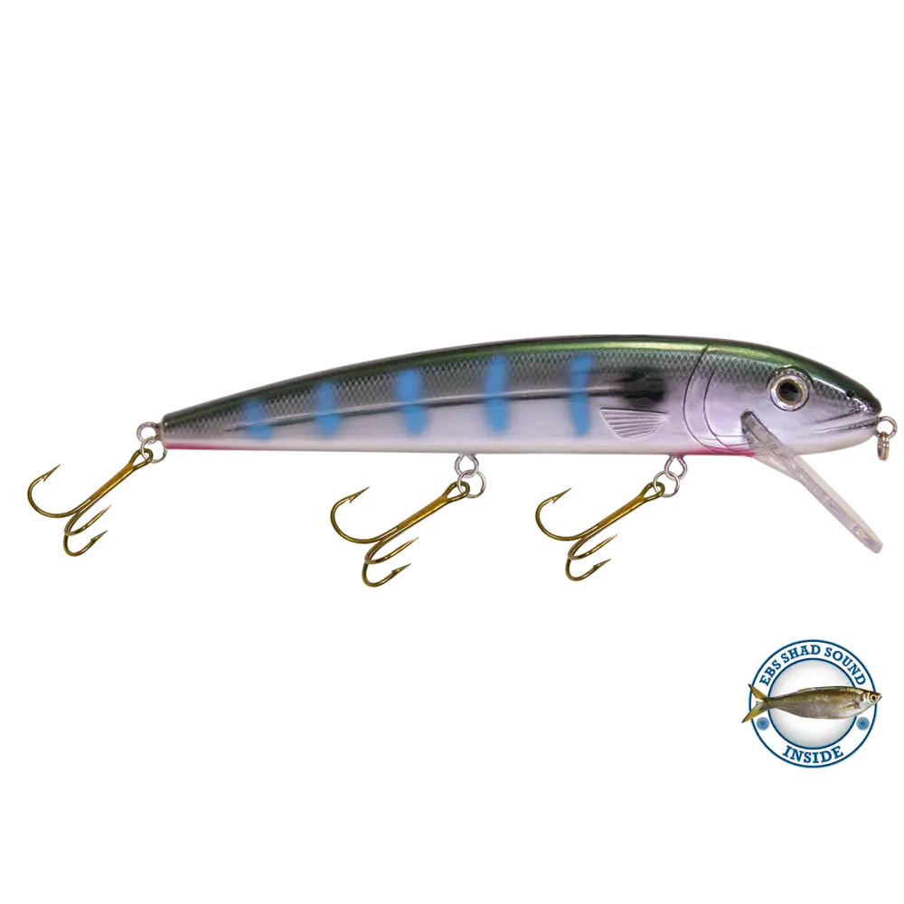 Squeaky Pete Trolling Crankbait – EBS Sound Technology | Color & Sound: Fire Ice / Perch Lucky Charm / Cisco Green