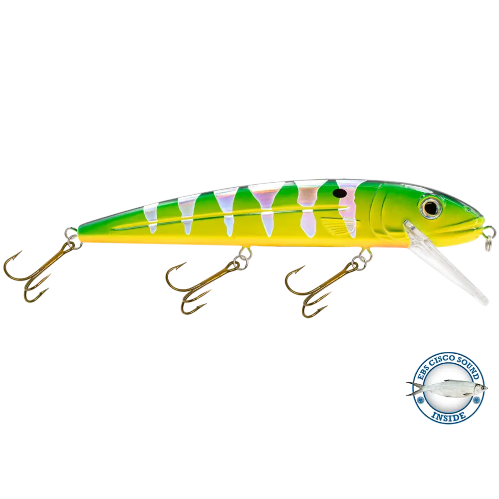 Squeaky Pete Trolling Crankbait – EBS Sound Technology | Color & Sound: Fire Ice / Perch Lucky Charm / Cisco Green