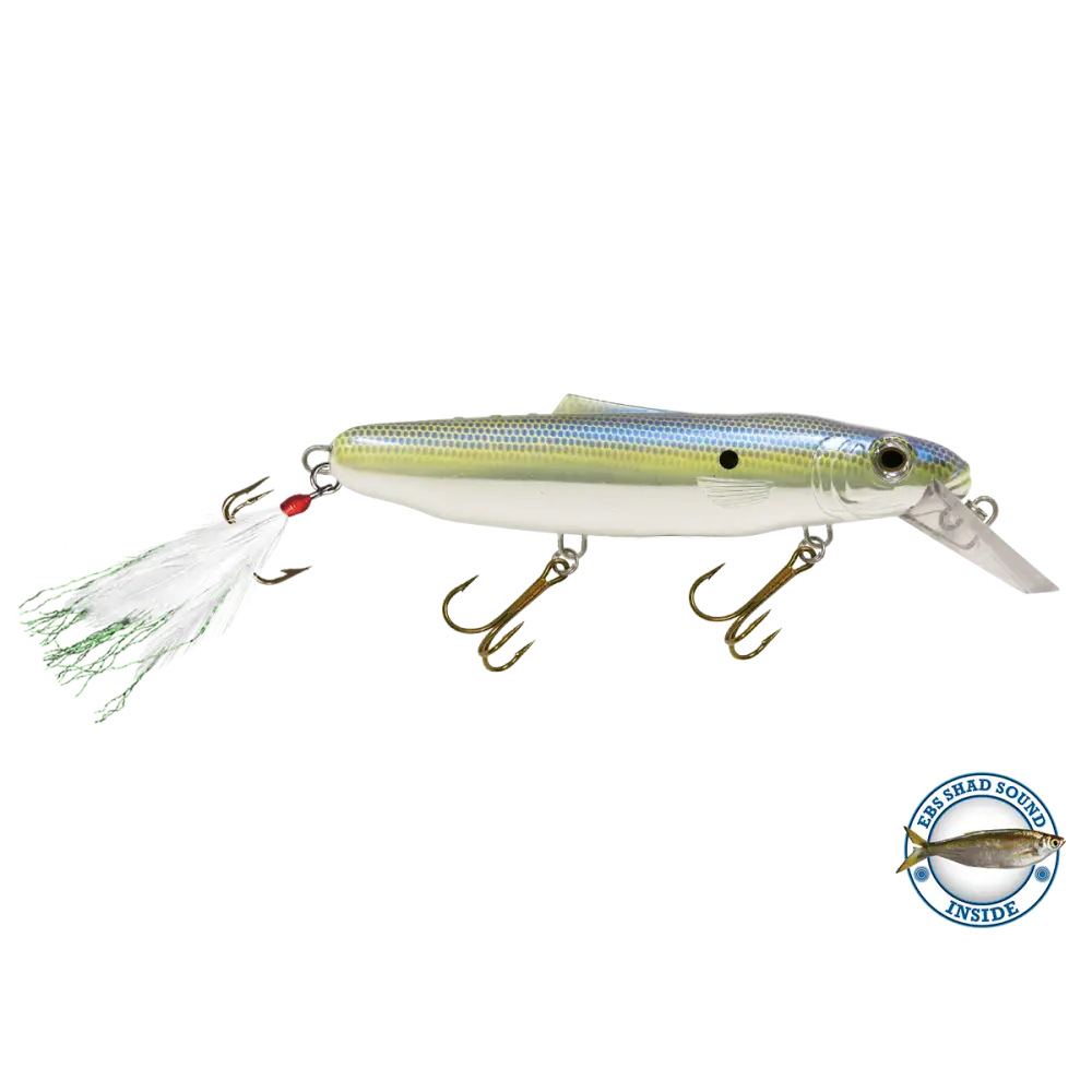Striker 6.8’’ Musky & Pike Crankbait – EBS Sound Technology | Color Sound: Fire Perch / Green / Red Rover / Threadfin