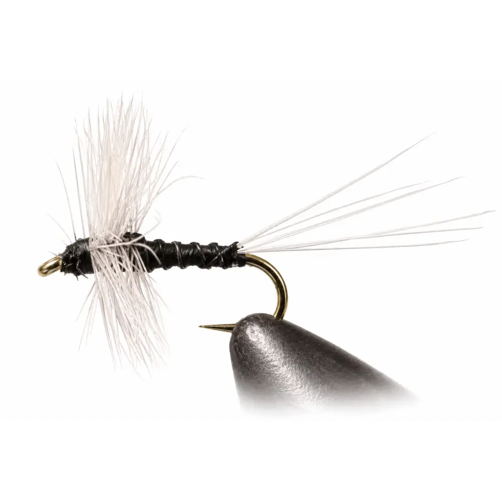 Trico Thorax | Size: 18 20 22 | Package: 3 Pack Dozen - Artificial Fishing Flies