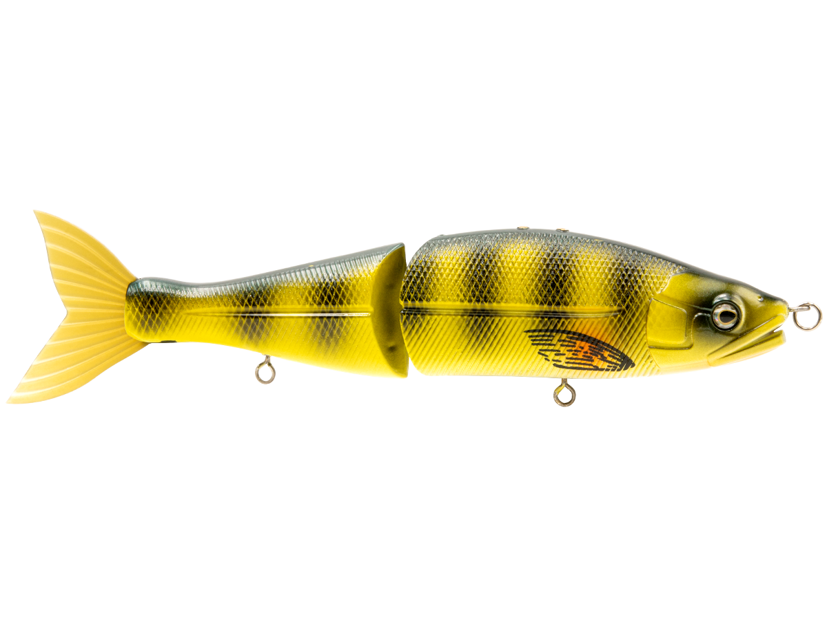 Venom 8’’ Swimbait for Musky Stripers & Trophy Bass – EBS Sound Technology | Color Sound: Matte Tiger / Perch
