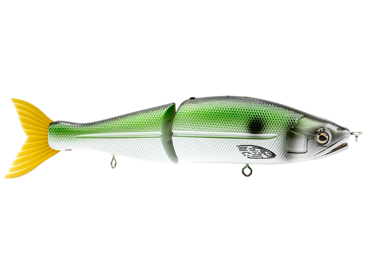 Venom 8’’ Swimbait for Musky Stripers & Trophy Bass – EBS Sound Technology | Color Sound: Matte Tiger / Perch