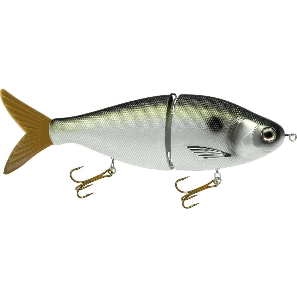 Viper 8’’ Glide Bait Swimbait for Musky & Pike – EBS Sound Technology | Color Sound: Carp/Suckerfish / Perch Black