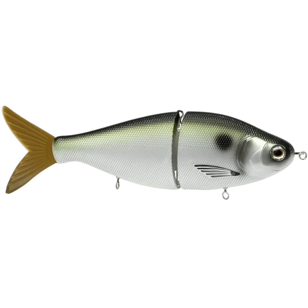 Viper 8’’ Glide Bait Swimbait for Musky & Pike – EBS Sound Technology | Color Sound: Carp/Suckerfish / Perch Black