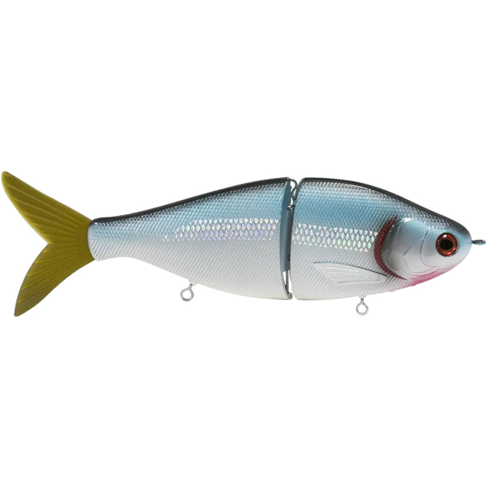 Viper 8’’ Glide Bait Swimbait for Musky & Pike – EBS Sound Technology | Color Sound: Carp/Suckerfish / Perch Black