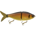 Viper 8’’ Glide Bait Swimbait for Musky & Pike – EBS Sound Technology | Color Sound: Carp/Suckerfish / Perch Black