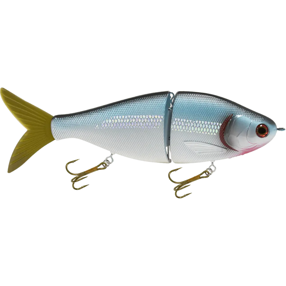 Viper 8’’ Glide Bait Swimbait for Musky & Pike – EBS Sound Technology | Color Sound: Carp/Suckerfish / Perch Black