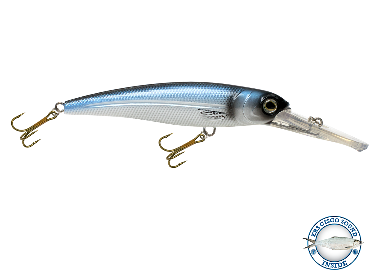 Voyager 15 Deep-Diving Trolling Crankbait – EBS Sound Technology | Color & Sound: Carp/Suckerfish / Perch Whitefish