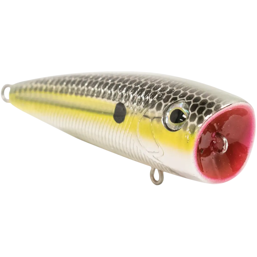 Walk N Pop 67 Topwater Popper – EBS Sound Technology | Color: Baby Bass Beauty Shad Black Back Chrome Tennessee