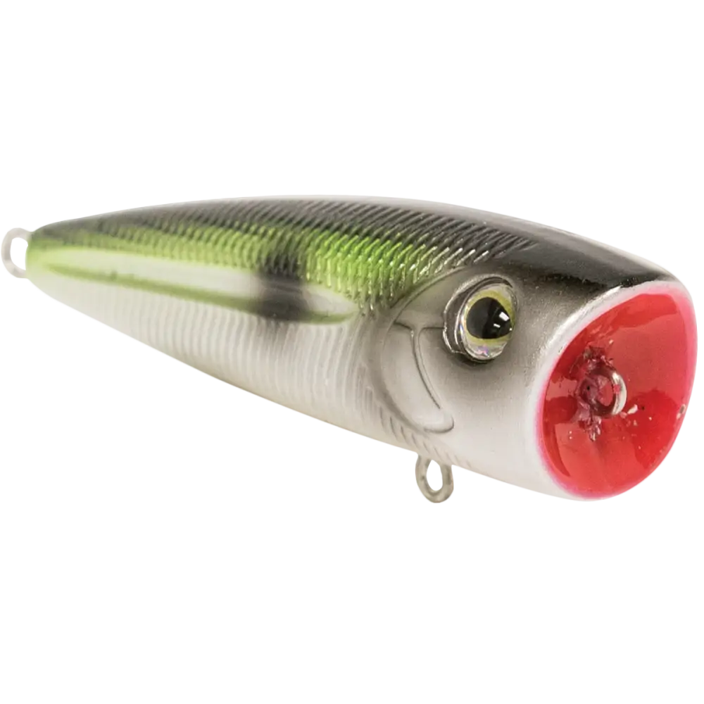 Walk N Pop 67 Topwater Popper – EBS Sound Technology | Color: Baby Bass Beauty Shad Black Back Chrome Tennessee