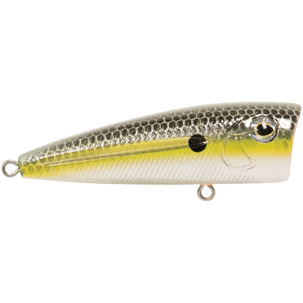 Walk N Pop 67 Topwater Popper – EBS Sound Technology | Color: Baby Bass Beauty Shad Black Back Chrome Tennessee