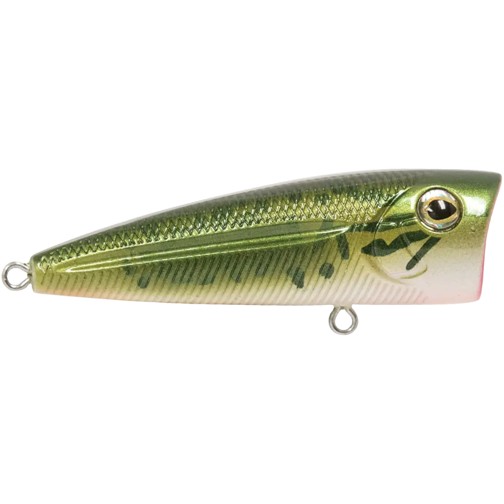 Walk N Pop 67 Topwater Popper – EBS Sound Technology | Color: Baby Bass Beauty Shad Black Back Chrome Tennessee