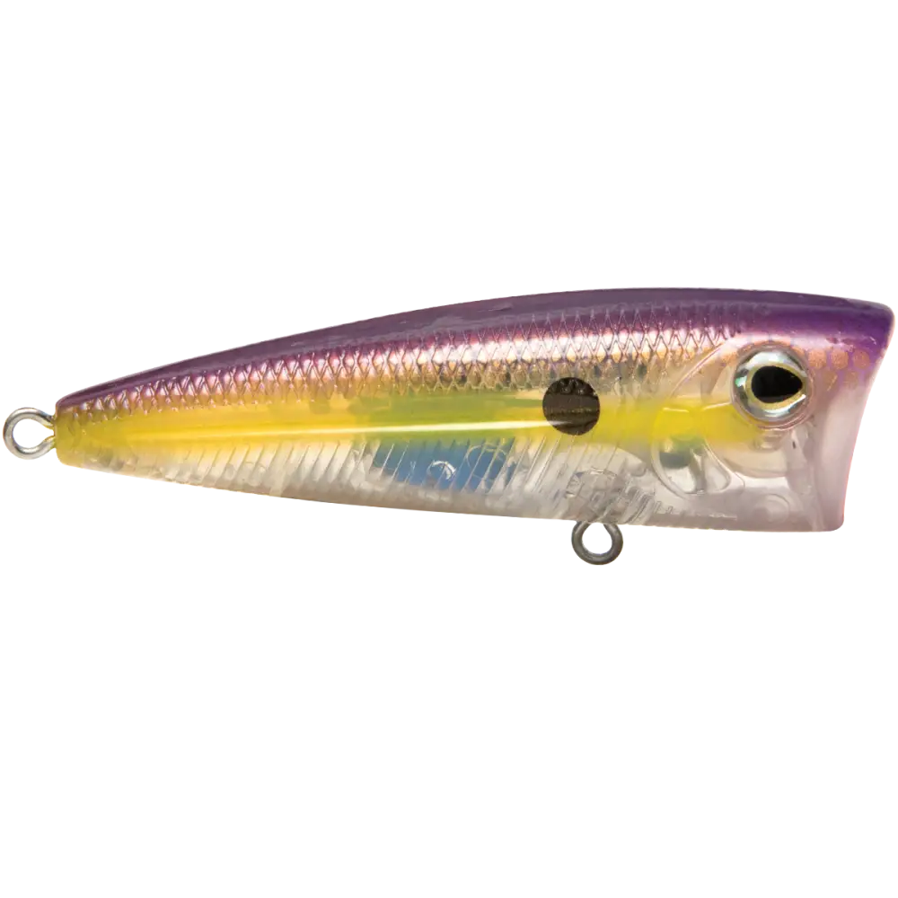 Walk N Pop 67 Topwater Popper – EBS Sound Technology | Color: Baby Bass Beauty Shad Black Back Chrome Tennessee