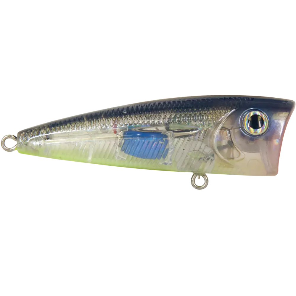 Walk N Pop 67 Topwater Popper – EBS Sound Technology | Color: Baby Bass Beauty Shad Black Back Chrome Tennessee