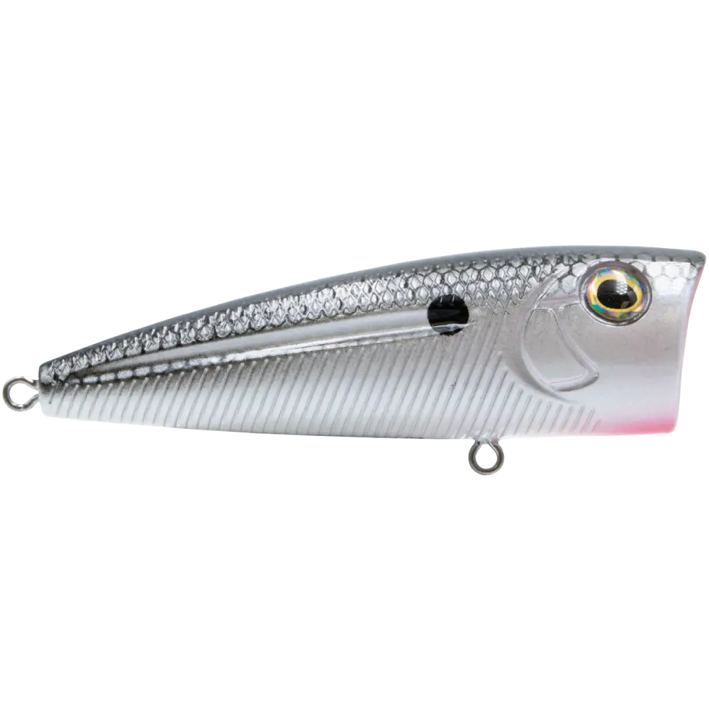 Walk N Pop 67 Topwater Popper – EBS Sound Technology | Color: Baby Bass Beauty Shad Black Back Chrome Tennessee