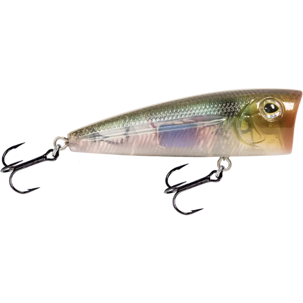 Walk N Pop 67 Topwater Popper – EBS Sound Technology | Color: Baby Bass Beauty Shad Black Back Chrome Tennessee
