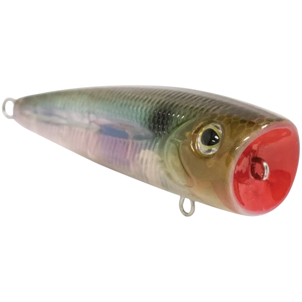 Walk N Pop 67 Topwater Popper – EBS Sound Technology | Color: Baby Bass Beauty Shad Black Back Chrome Tennessee
