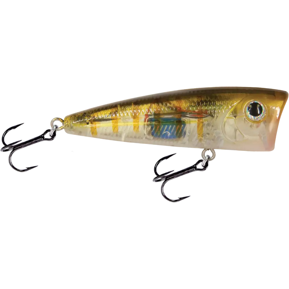 Walk N Pop 67 Topwater Popper – EBS Sound Technology | Color: Baby Bass Beauty Shad Black Back Chrome Tennessee