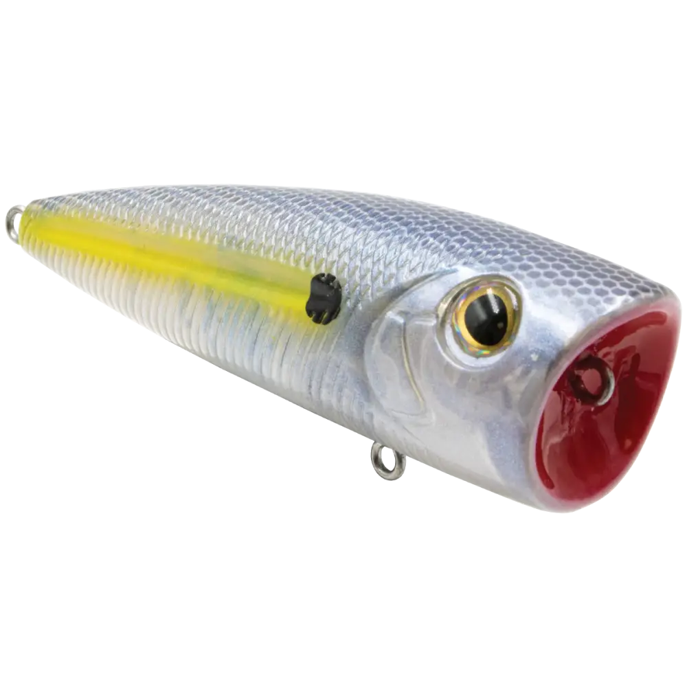 Walk N Pop 67 Topwater Popper – EBS Sound Technology | Color: Baby Bass Beauty Shad Black Back Chrome Tennessee
