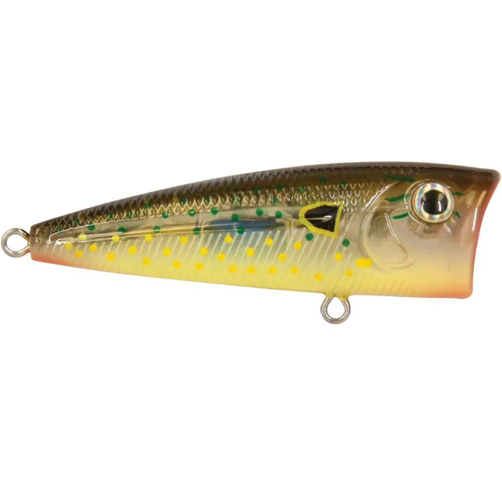 Walk N Pop 67 Topwater Popper – EBS Sound Technology | Color: Baby Bass Beauty Shad Black Back Chrome Tennessee
