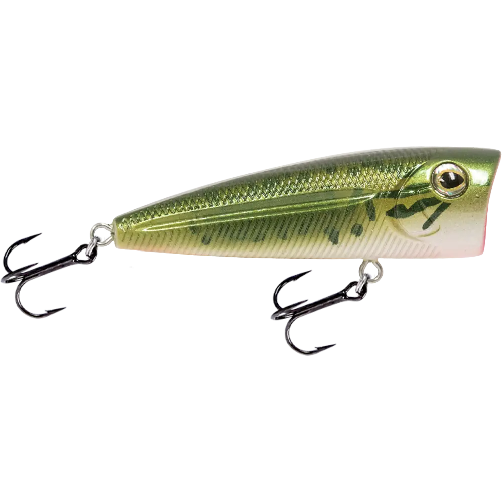 Walk N Pop 67 Topwater Popper – EBS Sound Technology | Color: Baby Bass Beauty Shad Black Back Chrome Tennessee