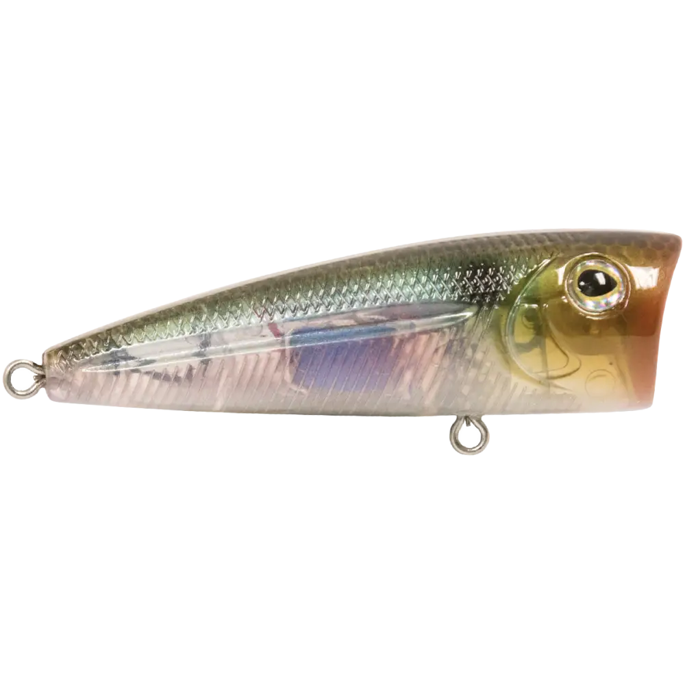 Walk N Pop 67 Topwater Popper – EBS Sound Technology | Color: Baby Bass Beauty Shad Black Back Chrome Tennessee
