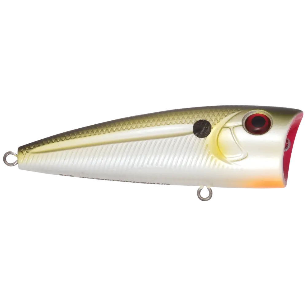 Walk N Pop 77 Topwater Popper | Color: Midnight Beauty Shad Black Back Chrome Tennessee Bluetreuse Pure Bone Silver